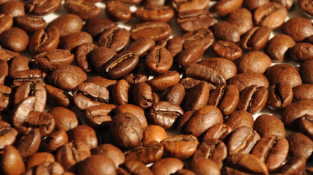 Similar image 173691