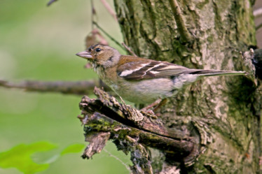 Similar image 173700