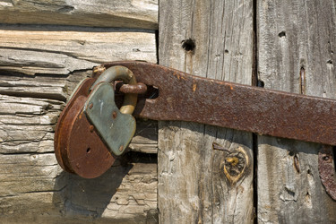 Similar image 173711