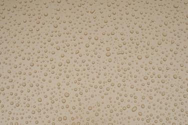 Similar image 173754