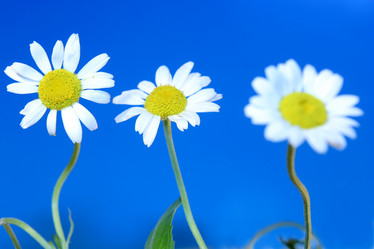 Similar image 173759