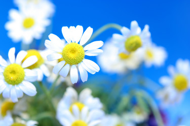 Similar image 173760