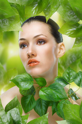 Similar image 173792