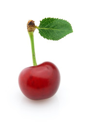 Similar image 173803