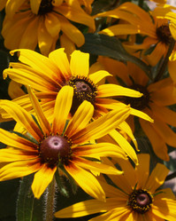 Similar image 173851