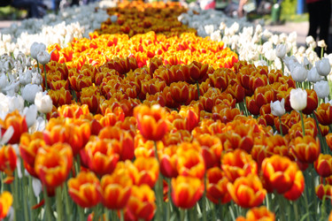 Similar image 173855