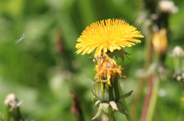 Similar image 173883