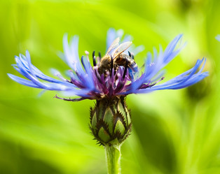 Similar image 173886