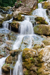 Similar image 173893