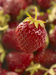 Similar image 173895