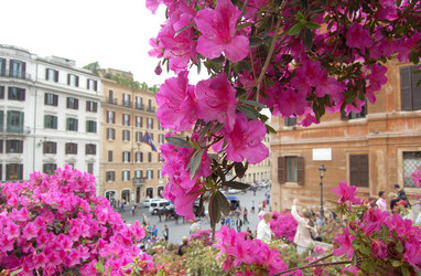 Similar image 173910