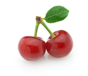 Similar image 173919