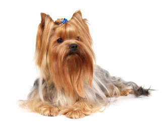 Similar image 173958