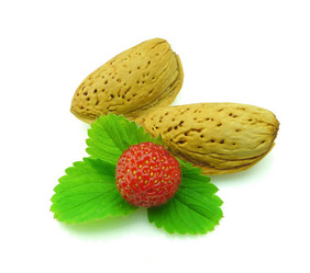 Similar image 173959