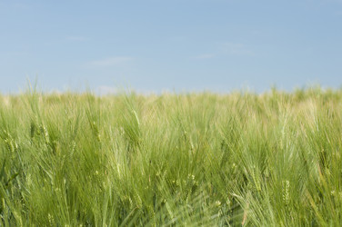 Similar image 173961