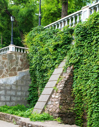 Similar image 173991