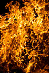 Similar image 174048