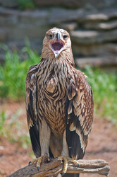 Similar image 174135