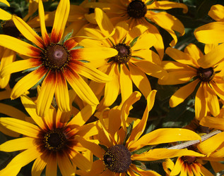 Similar image 174144