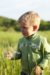 Similar image 174153