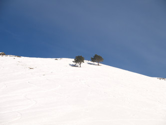 Similar image 174163