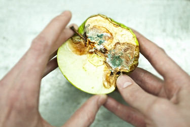 Similar image 174171