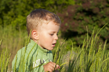 Similar image 174174