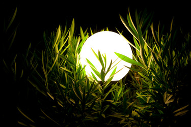 Similar image 174190