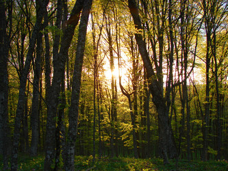 Similar image 174199