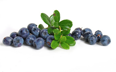 Similar image 174221