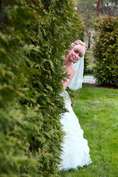 Similar image 174260