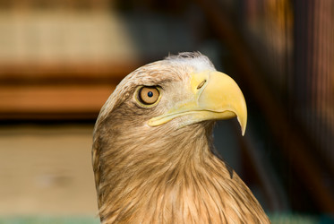 Similar image 174477