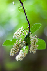 Similar image 174499