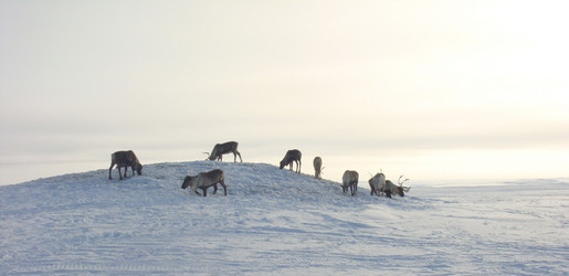 Similar image 174504