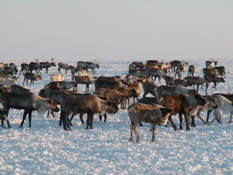 Similar image 174505