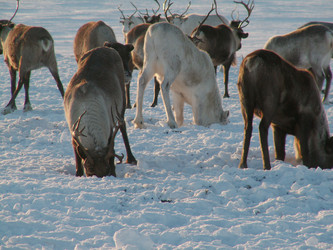 Similar image 174506