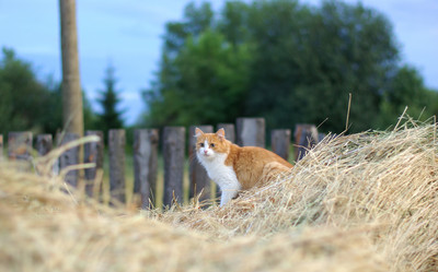 Similar image 174514