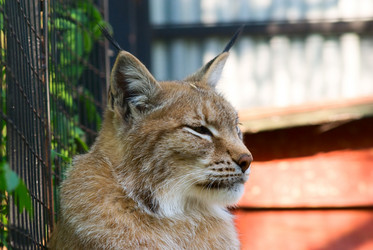 Similar image 174521