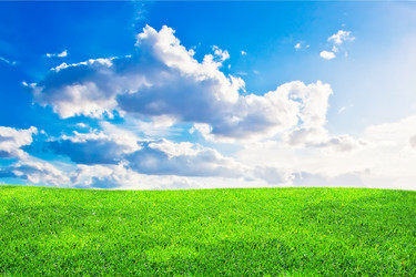 Similar image 174554