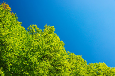 Similar image 174555