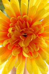 Similar image 174606