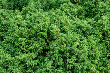 Similar image 174614