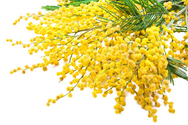 Similar image 174618