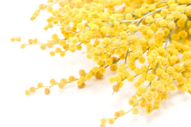 Similar image 174619