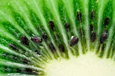 Similar image 174620