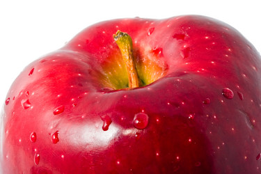 Similar image 174627