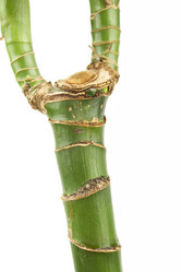 Similar image 174666