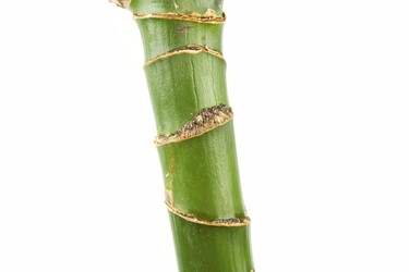 Similar image 174668