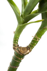 Similar image 174669