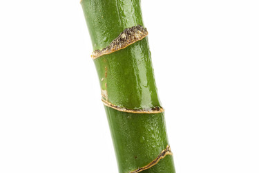 Similar image 174670